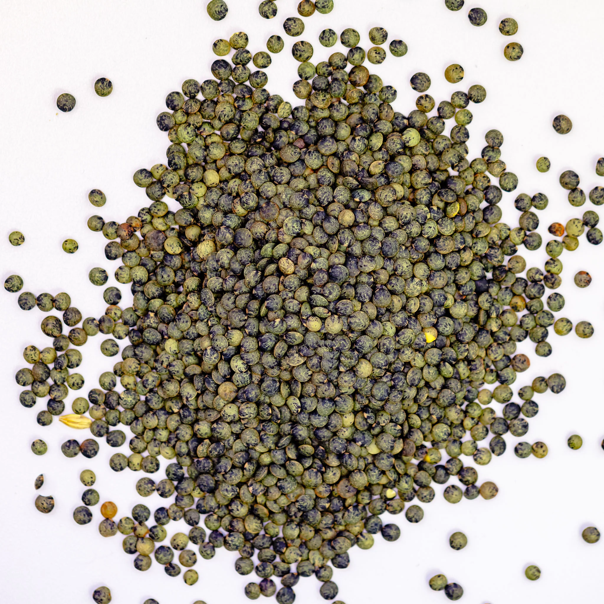 French Green Lentils, Organic - Image 3