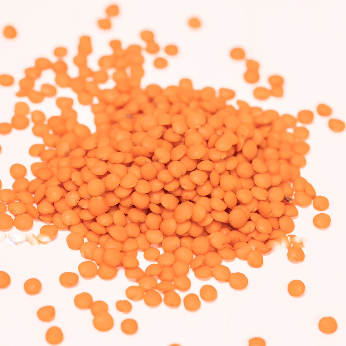 Lentils Bundle, Organic - Image 3